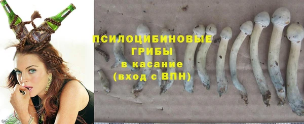 героин Богданович
