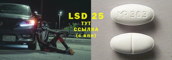 PSILOCYBIN Богородицк